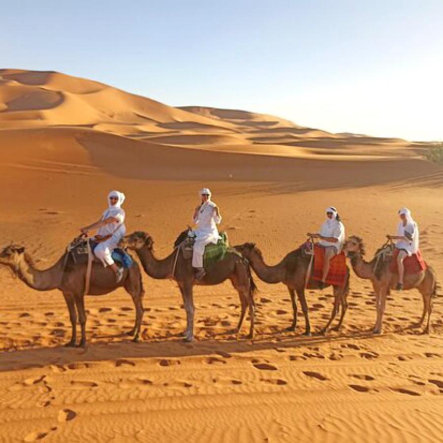 Riad Hassi Labied 메르주가 외부 사진